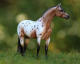 The Orren Mixer Ideal Series - Pony of the Americas