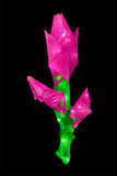 Creatto - Shining Sweetheart & Lovable Stuff